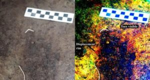 13000 year old human footprints found off Canadas Pacific coast 2
