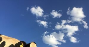 20 percent of Americans responsible for almost half of US food related greenhouse gas emissions