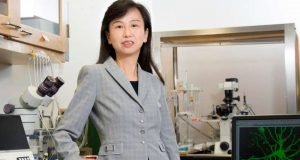 Autisms social deficits are reversed by an anti cancer drug