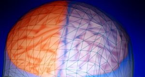 Brain activity at rest provides clue to intelligence