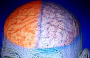 Brain activity at rest provides clue to intelligence Brain activity at rest provides clue to intelligence