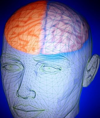 Brain activity at rest provides clue to intelligence Brain activity at rest provides clue to intelligence
