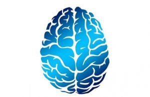 Brain stimulation helps younger, not older, adults’ memory Brain stimulation helps younger not older adults memory