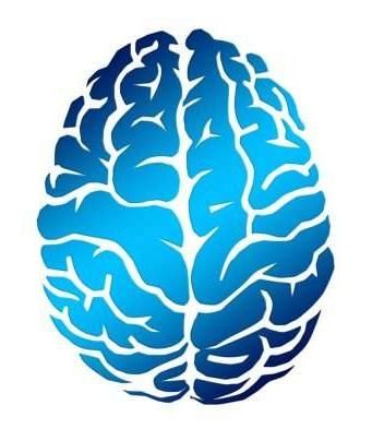 Brain stimulation helps younger not older adults memory