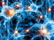 Breakthrough discovery in neurotransmission