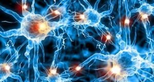 Breakthrough discovery in neurotransmission