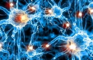 Breakthrough discovery in neurotransmission Breakthrough discovery in neurotransmission