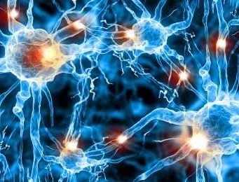 Breakthrough discovery in neurotransmission