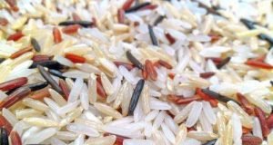 Breakthrough in battle against rice blast