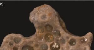 Bubbles of life from the past Tiny bubbles of oxygen got trapped 1.6 billion years ago