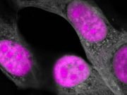 CRISPR genetic editing takes another big step forward targeting RNA