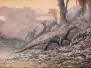 Decade of fossil collecting gives new perspective on Triassic period emergence of dinosaurs