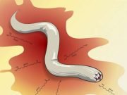 Decoding the chemistry of fear