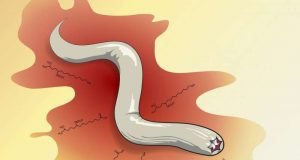 Decoding the chemistry of fear