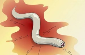 Decoding the chemistry of fear Decoding the chemistry of fear