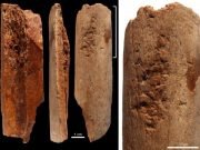 Discovery of sophisticated 115000 year old bone tools in China