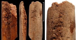 Discovery of sophisticated 115000 year old bone tools in China