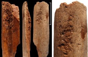 Discovery of sophisticated 115,000-year-old bone tools in China Discovery of sophisticated 115000 year old bone tools in China
