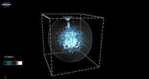 Discovery shows wine grapes gasping for breath