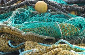 Ending overfishing would stop the population declines of endangered bycatch species about half the time Ending overfishing would stop the population declines of endangered bycatch species about half the time