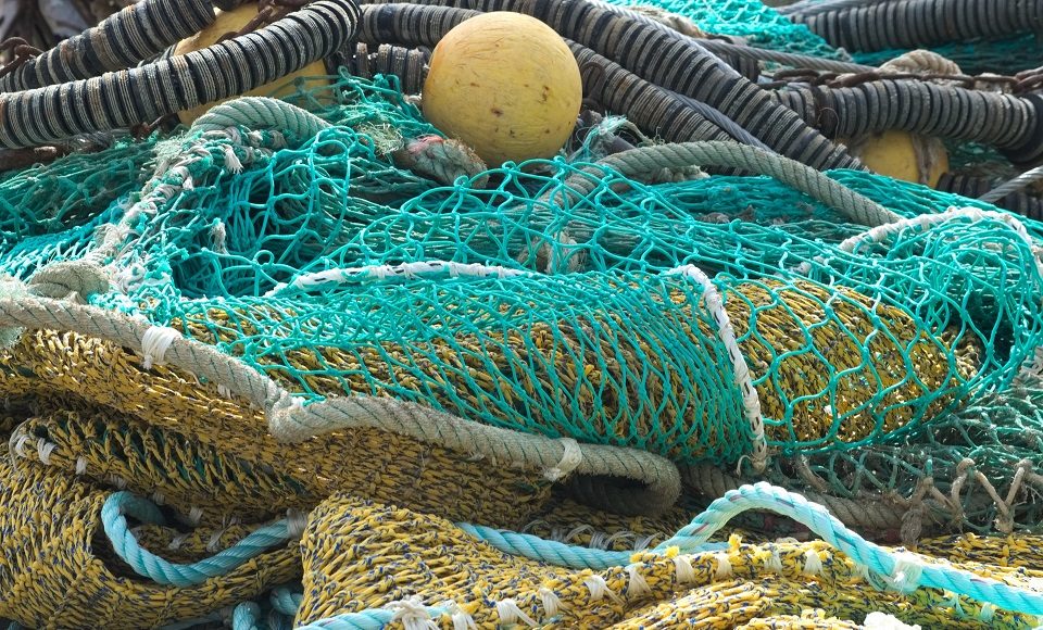 Ending overfishing would stop the population declines of endangered bycatch species about half the time