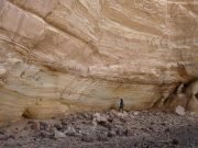 Entomologist confirms first Saharan farming 10000 years ago