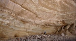 Entomologist confirms first Saharan farming 10000 years ago