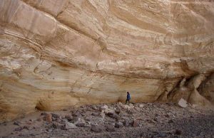 Entomologist confirms first Saharan farming 10,000 years ago Entomologist confirms first Saharan farming 10000 years ago