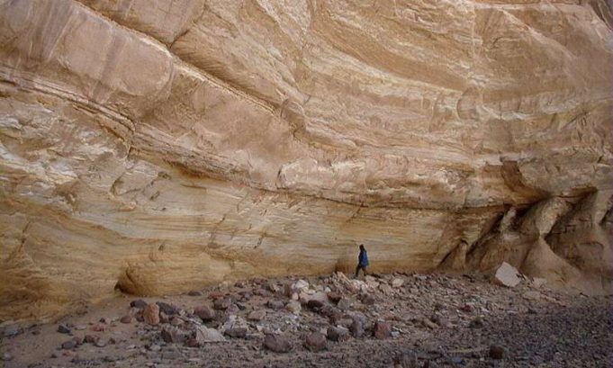 Entomologist confirms first Saharan farming 10000 years ago