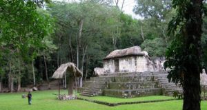 First evidence of live traded dogs for Maya ceremonies