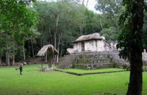 First evidence of live-traded dogs for Maya ceremonies First evidence of live traded dogs for Maya ceremonies
