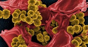 First proof a synthesized antibiotic is capable of treating superbugs