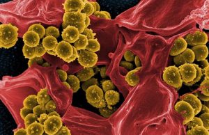 First proof a synthesized antibiotic is capable of treating superbugs