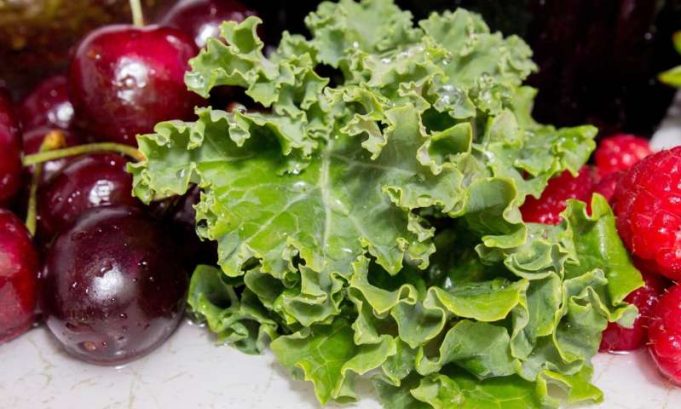 Food waste The biggest loss could be what you choose to put in your mouth