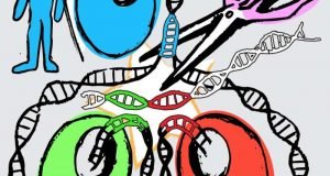 Gene editing method produces perfect pluripotent stem cell twins