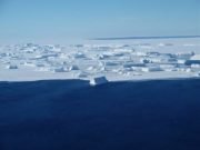 Global fisheries to be on average 20 percent less productive in 2300 UCI study finds