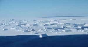 Global fisheries to be on average 20 percent less productive in 2300 UCI study finds