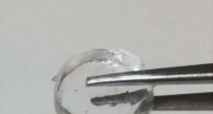 Gradual release of immunotherapy at site of tumor surgery prevents tumors from returning