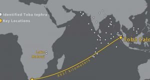 Humans thrived in South Africa through the Toba super volcanic eruption about 74000 years ago