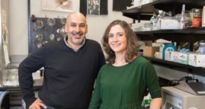 Is your stress changing my brain