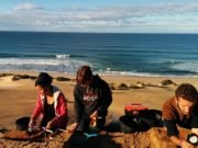 Modern humans flourished through ancient supervolcano eruption 74000 years ago