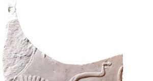 Mysterious head of a pharaoh discovered