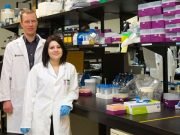 New diagnostic method makes testing for infections in people and animals quick and easy