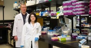 New diagnostic method makes testing for infections in people and animals quick and easy