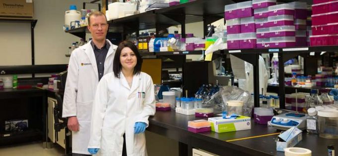 New diagnostic method makes testing for infections in people and animals quick and easy New diagnostic method makes testing for infections in people and animals quick and easy