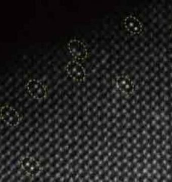 New dual atom catalyst shows promise to yield clean energy by artificial photosynthesis