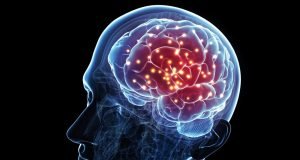 New research finds the brain is less flexible than we thought when learning