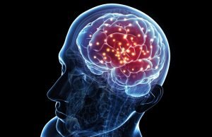 New research finds the brain is less flexible than we thought when learning New research finds the brain is less flexible than we thought when learning