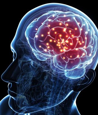 New research finds the brain is less flexible than we thought when learning