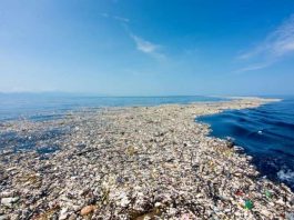 Pacific plastic dump far larger than feared study